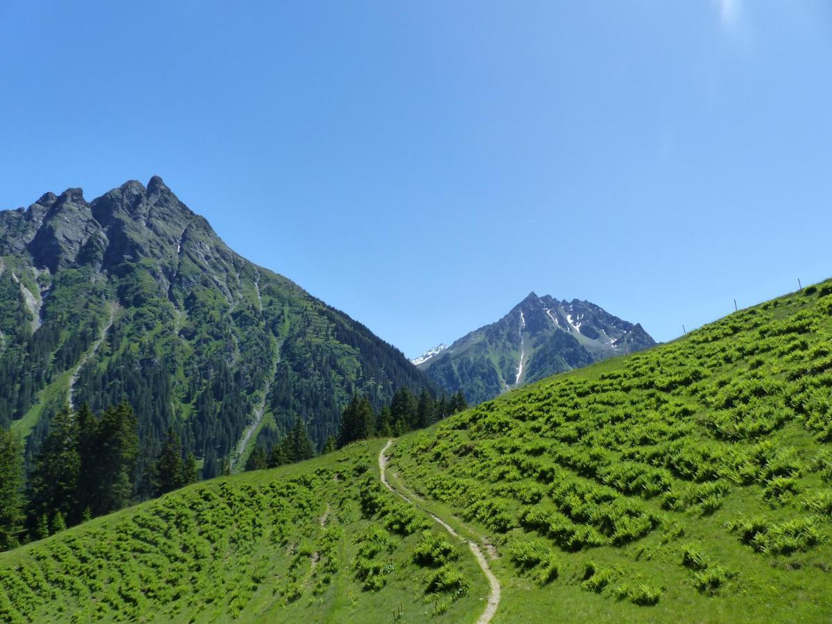 Alpinresortmontafon Garni Гаргеллен Экстерьер фото