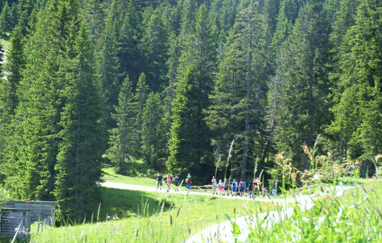 Alpinresortmontafon Garni Гаргеллен Экстерьер фото
